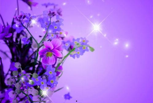 明星与小花的歌曲,明星与小花的音乐之旅