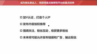 头条粉丝网,揭秘热门话题背后的粉丝力量